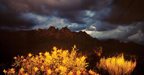 Timeless Moment Organ Mountains